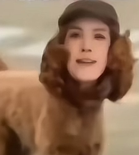 嘟钰yu
