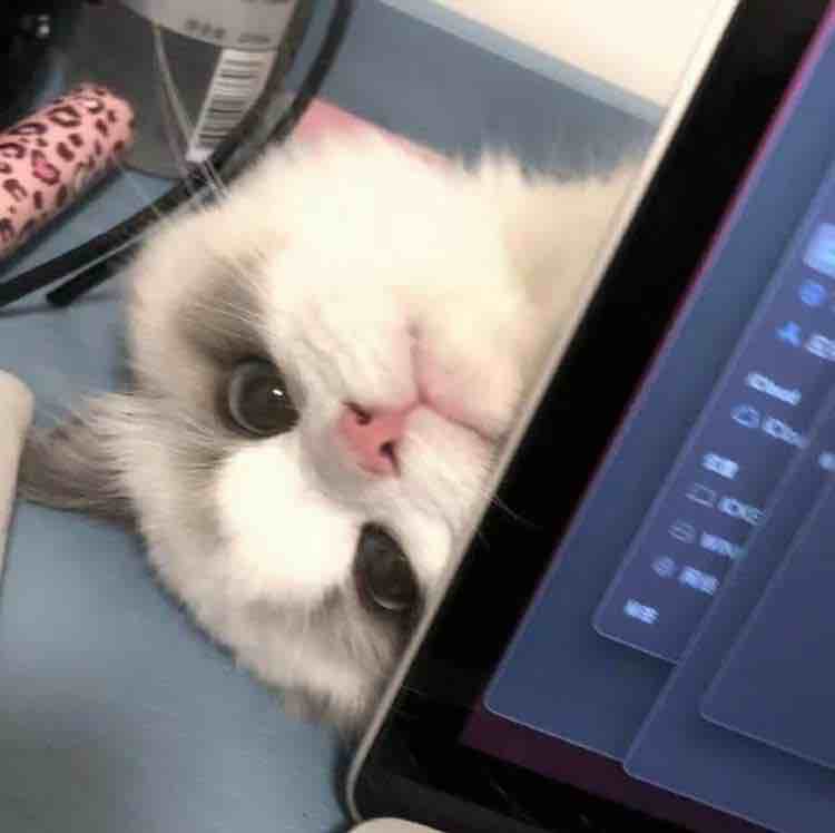 玛卡巴卡