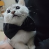刂巾小伙