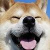 玩家1297069949891944448