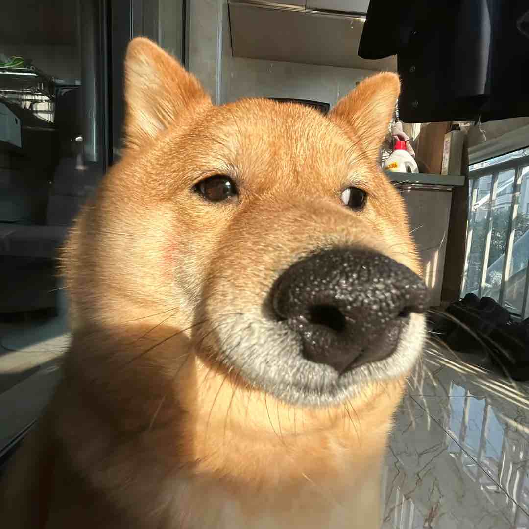 小啊居居