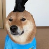 祝你幸福安康
