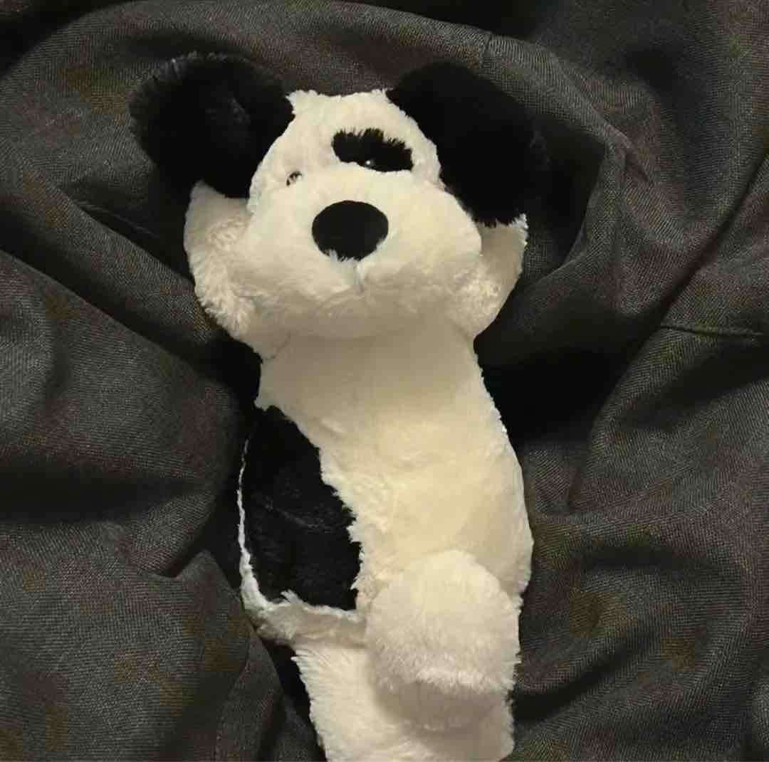不能理解