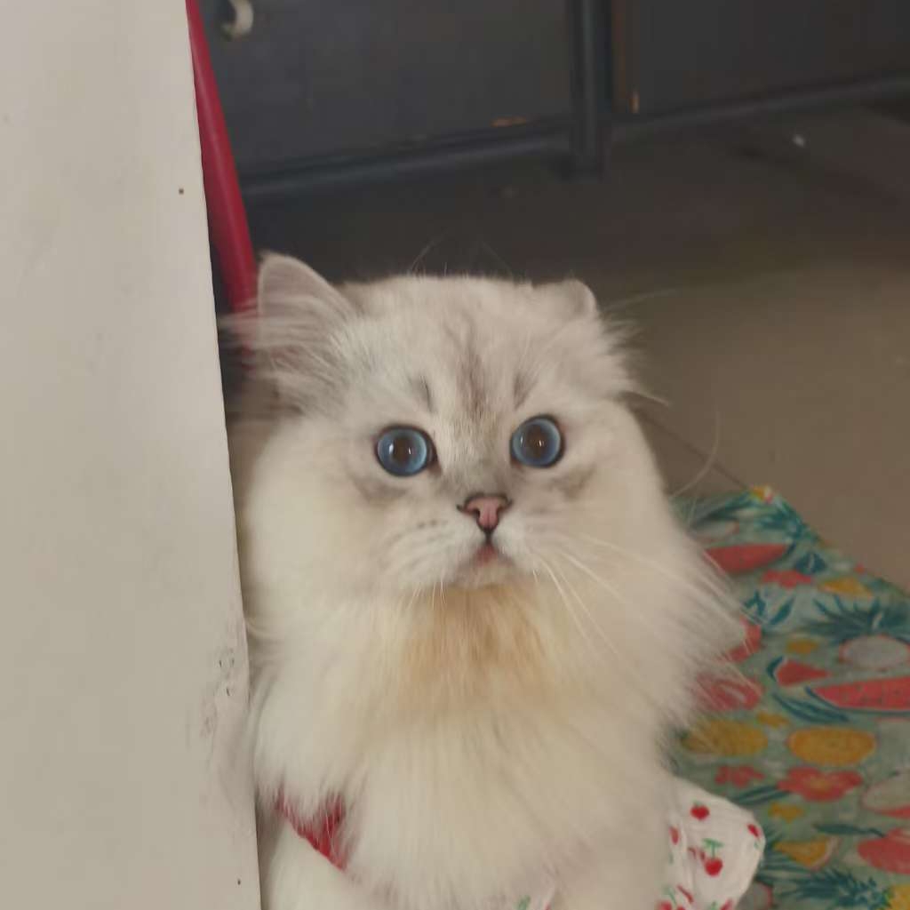 来直接来