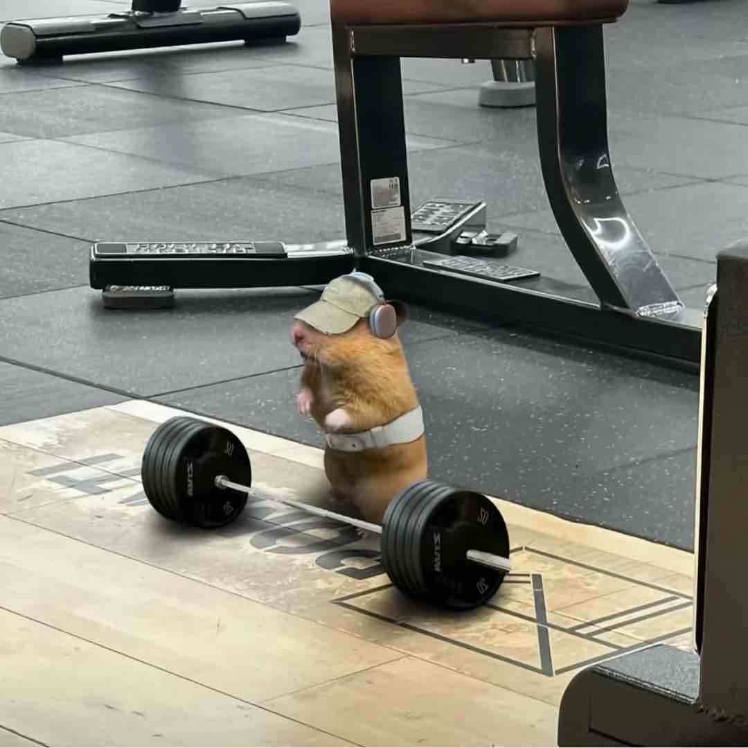 我来接你下车啦