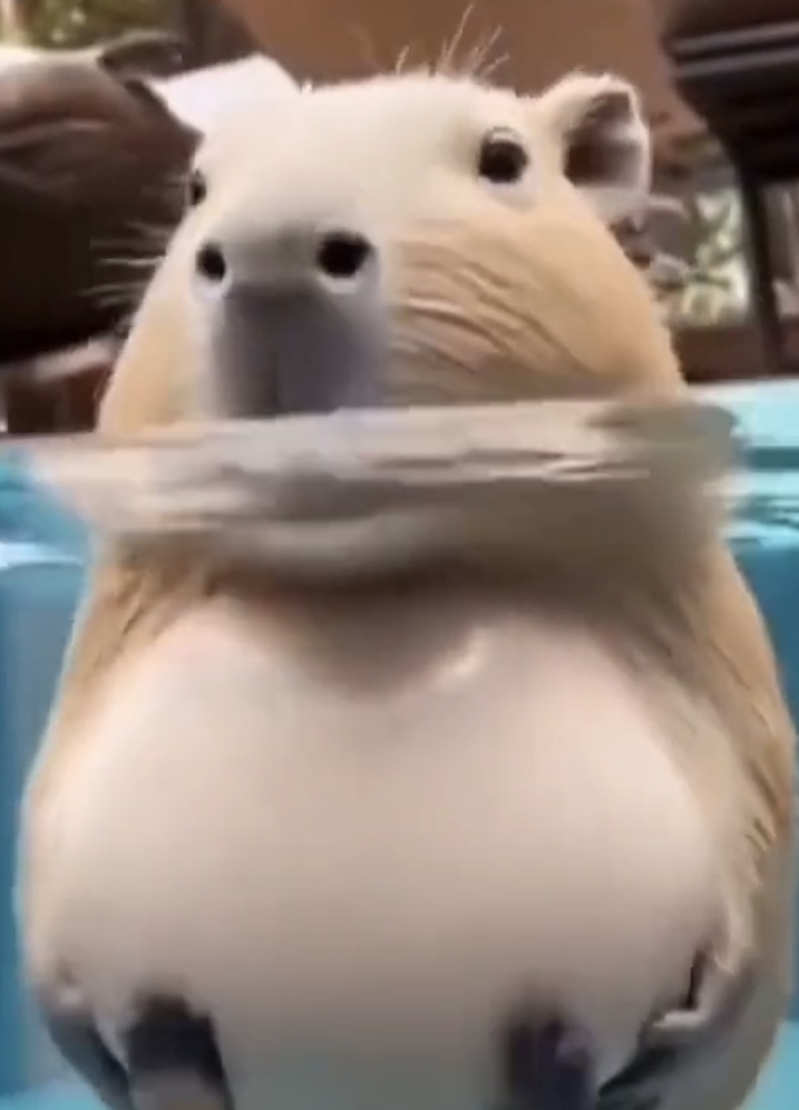 玩家1193754911967879168