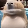 玩家1193754911967879168