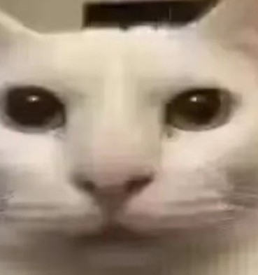 咸鱼儿233