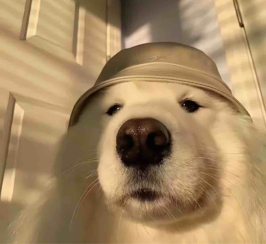 玩家1183658306341134336