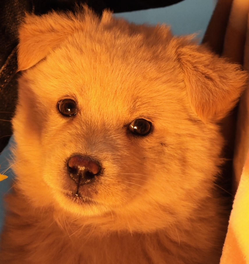 老板买我发大财