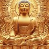 听说改名就能中