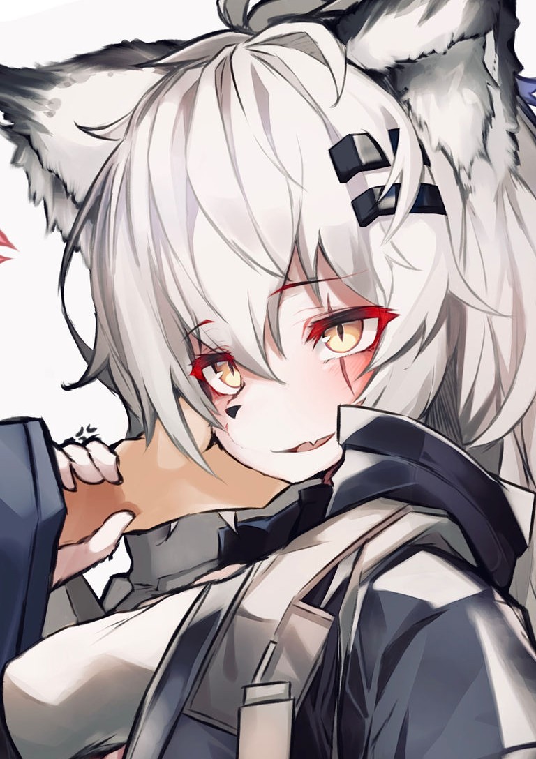 赏口饭吃吧