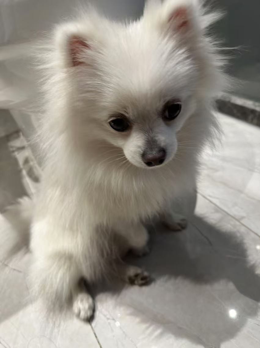 默默无闻