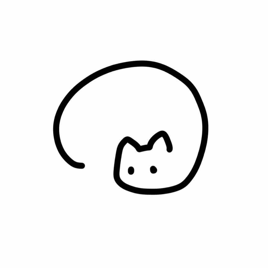 NPCccc