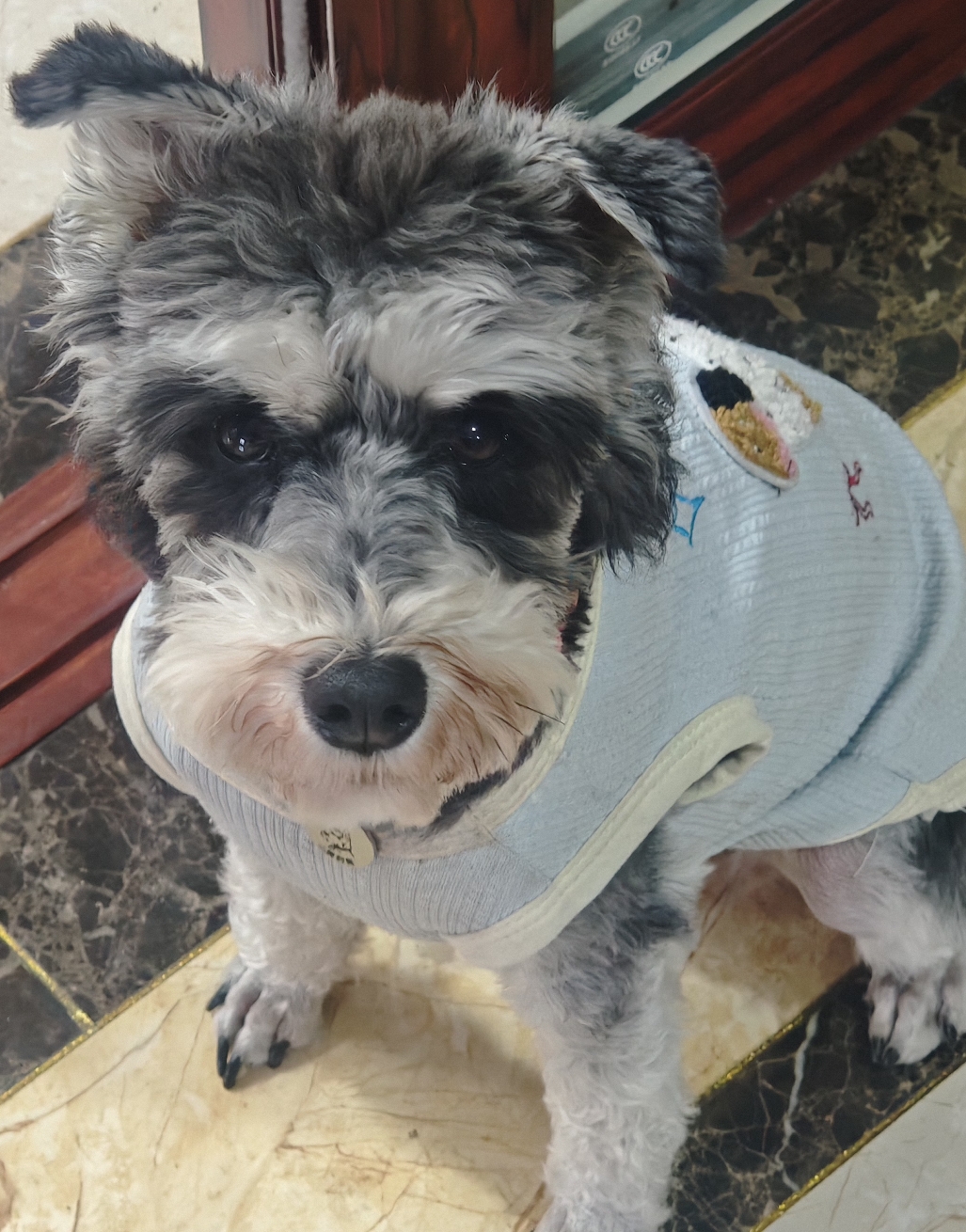 玩家1405696647114792960