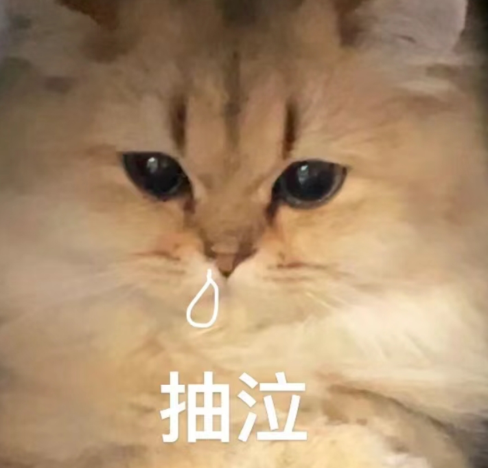 玩家1257944424874897408