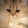 玩家1257944424874897408
