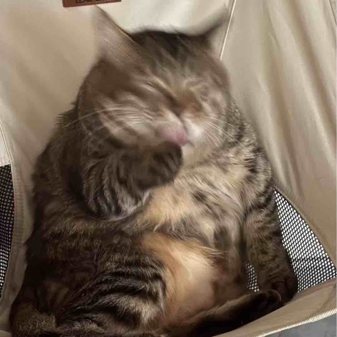 云在青天水在瓶