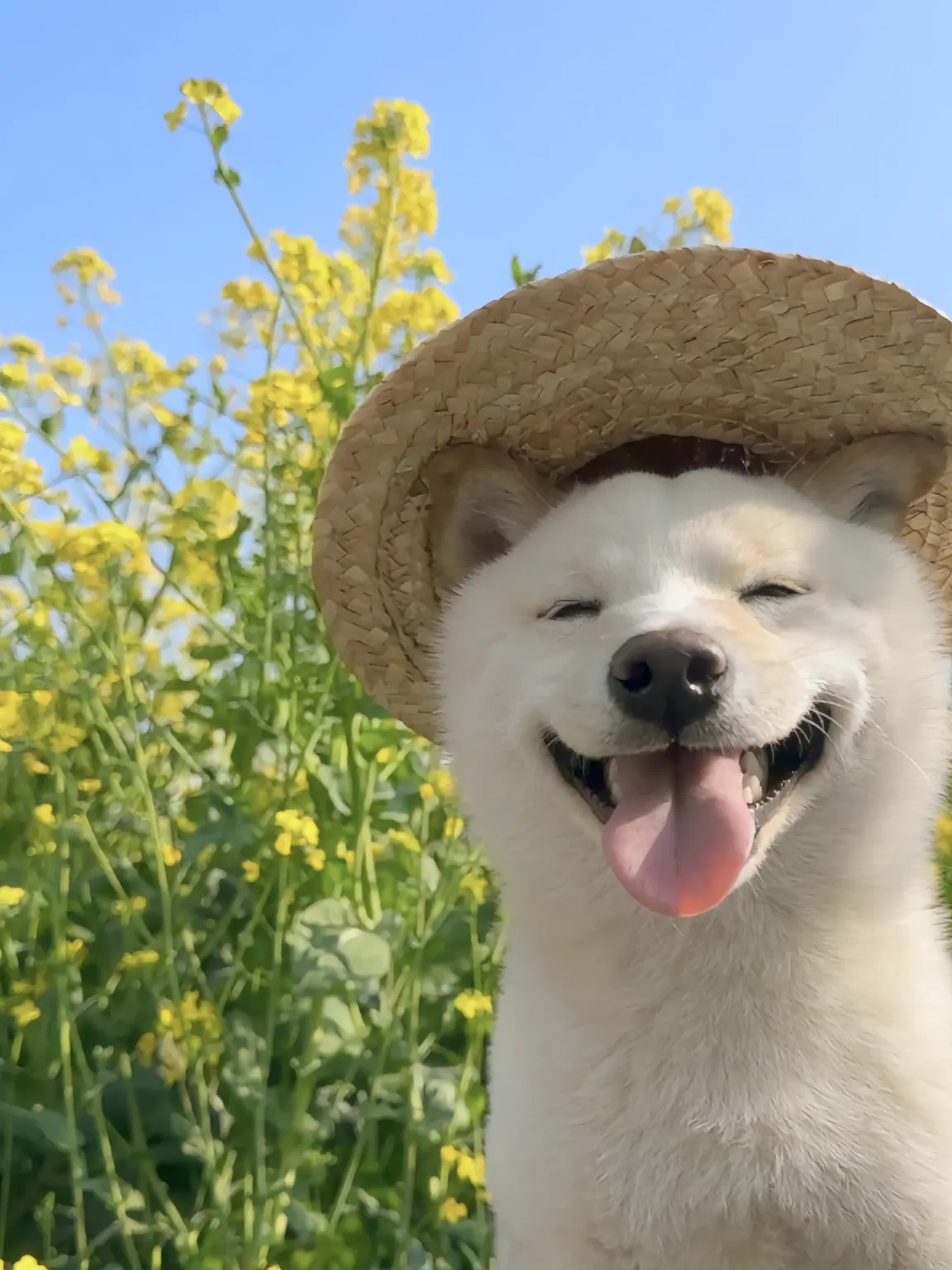 玩家1376058700020617216