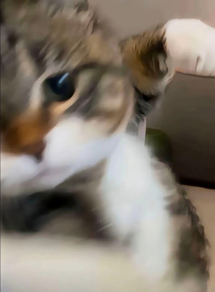 人间失准