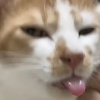 鲁邦三世一发就给