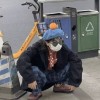 只見KT