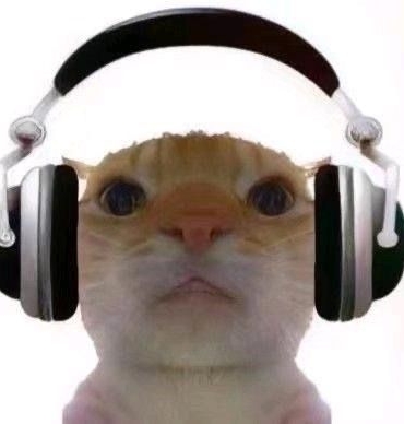 孤单听雨的猫
