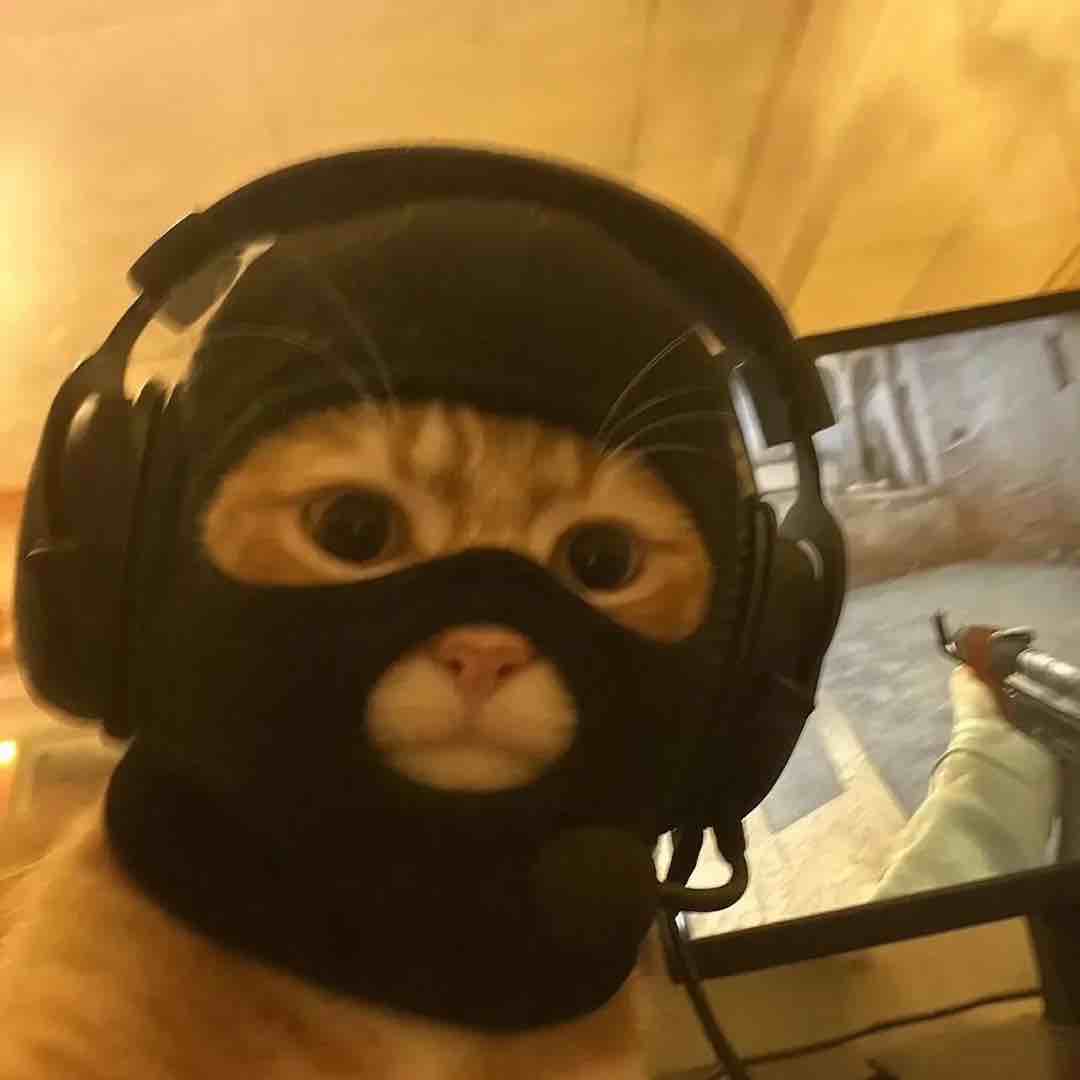旱匪猫me