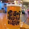 飞鹰6688