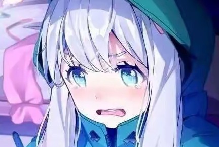 白菜没有坏心思