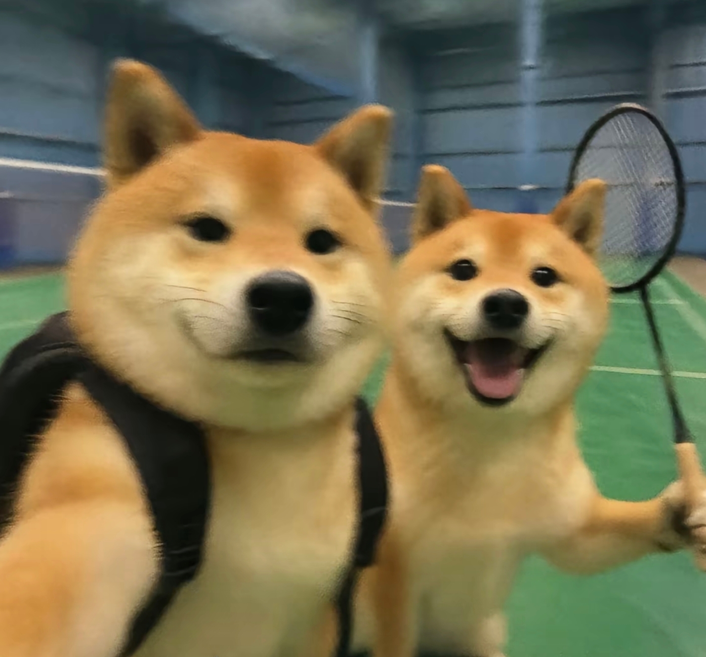 玩家1179288912943890432