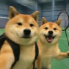玩家1179288912943890432