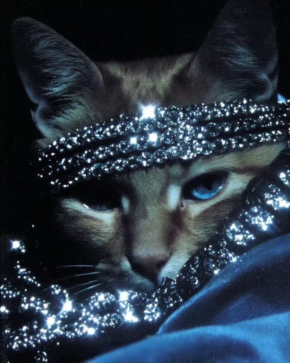 改名该给我了吧