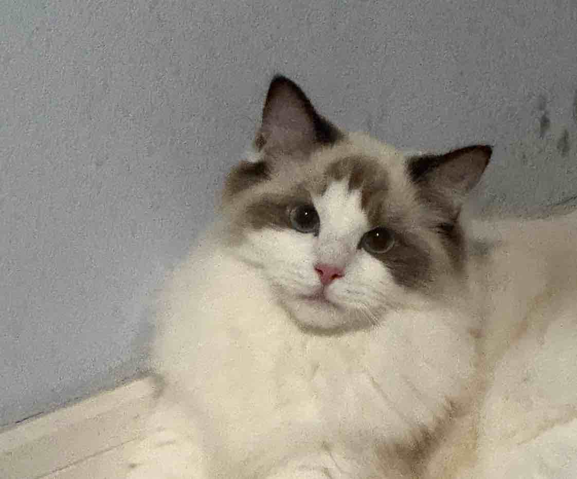 玩家1421793985505288192