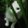休恋逝水