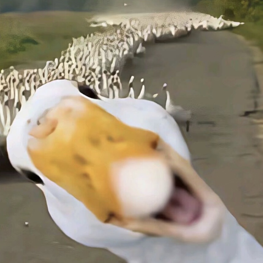 一带一带哈基米