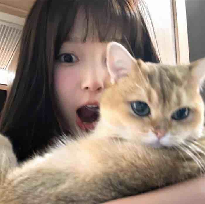 自用仓秒出