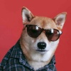 FrankJ
