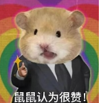 鼠鼠大王