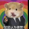 鼠鼠大王