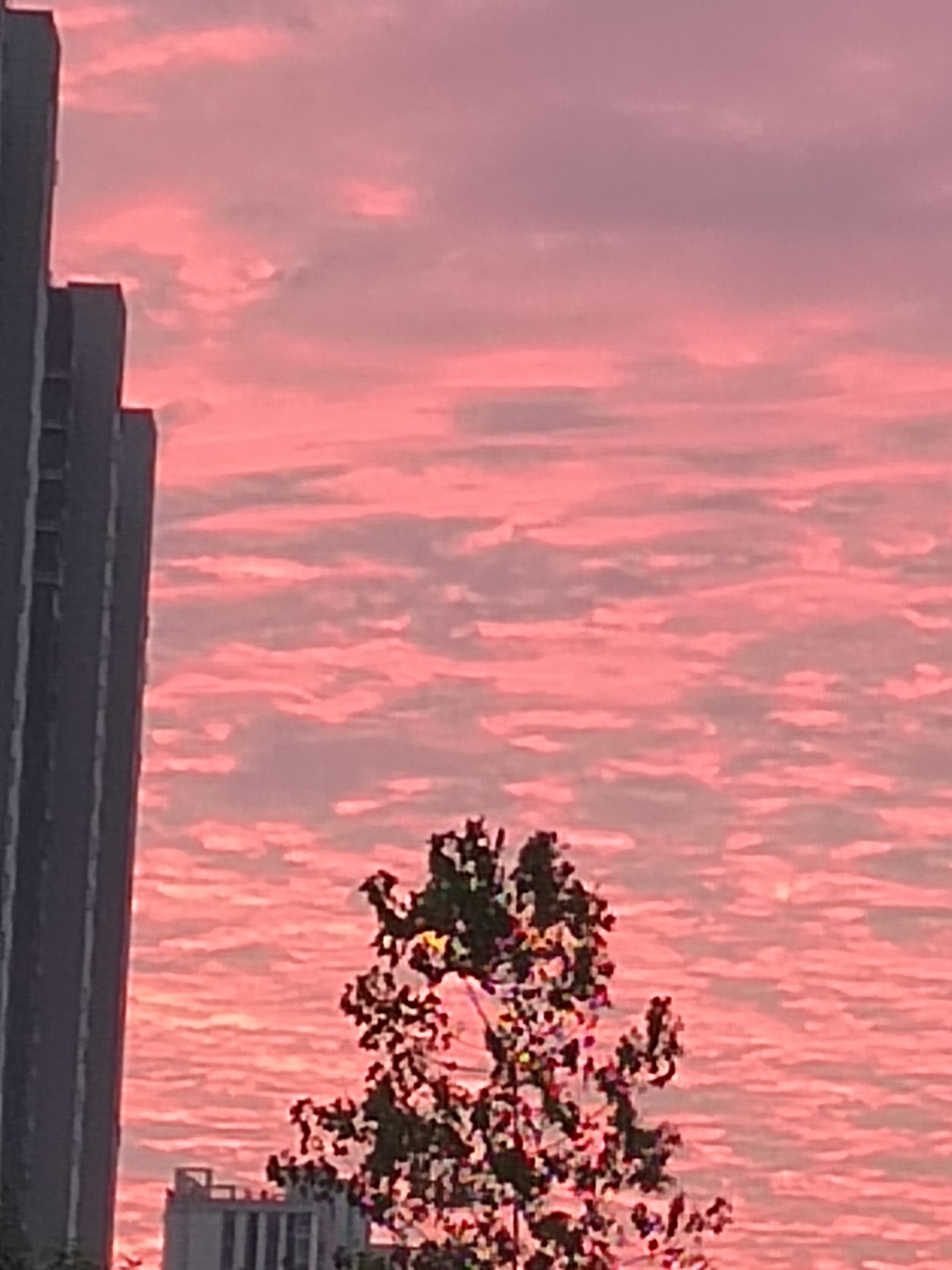 玩家1437340851040673792