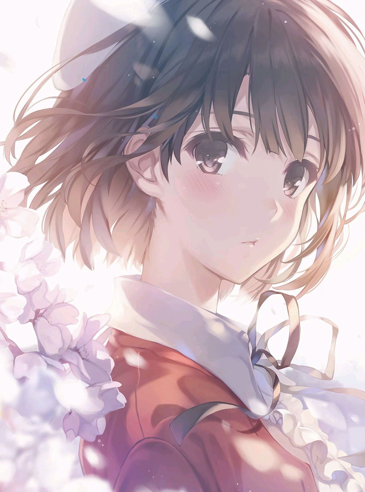 砸我求购的都是彭于晏