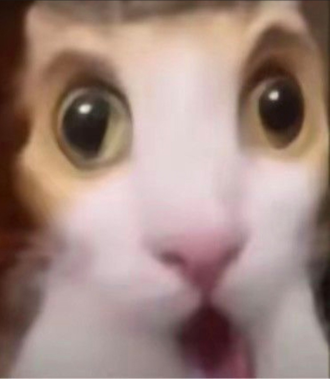 玩家1411974120379277312