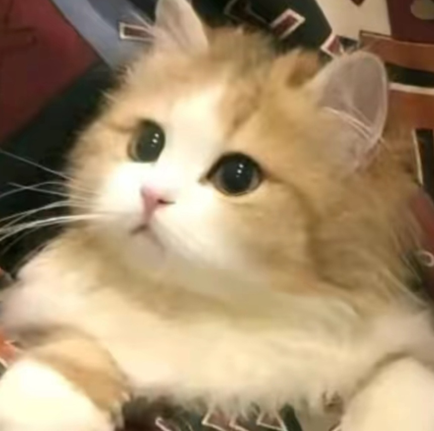 玩家1445512945123442688