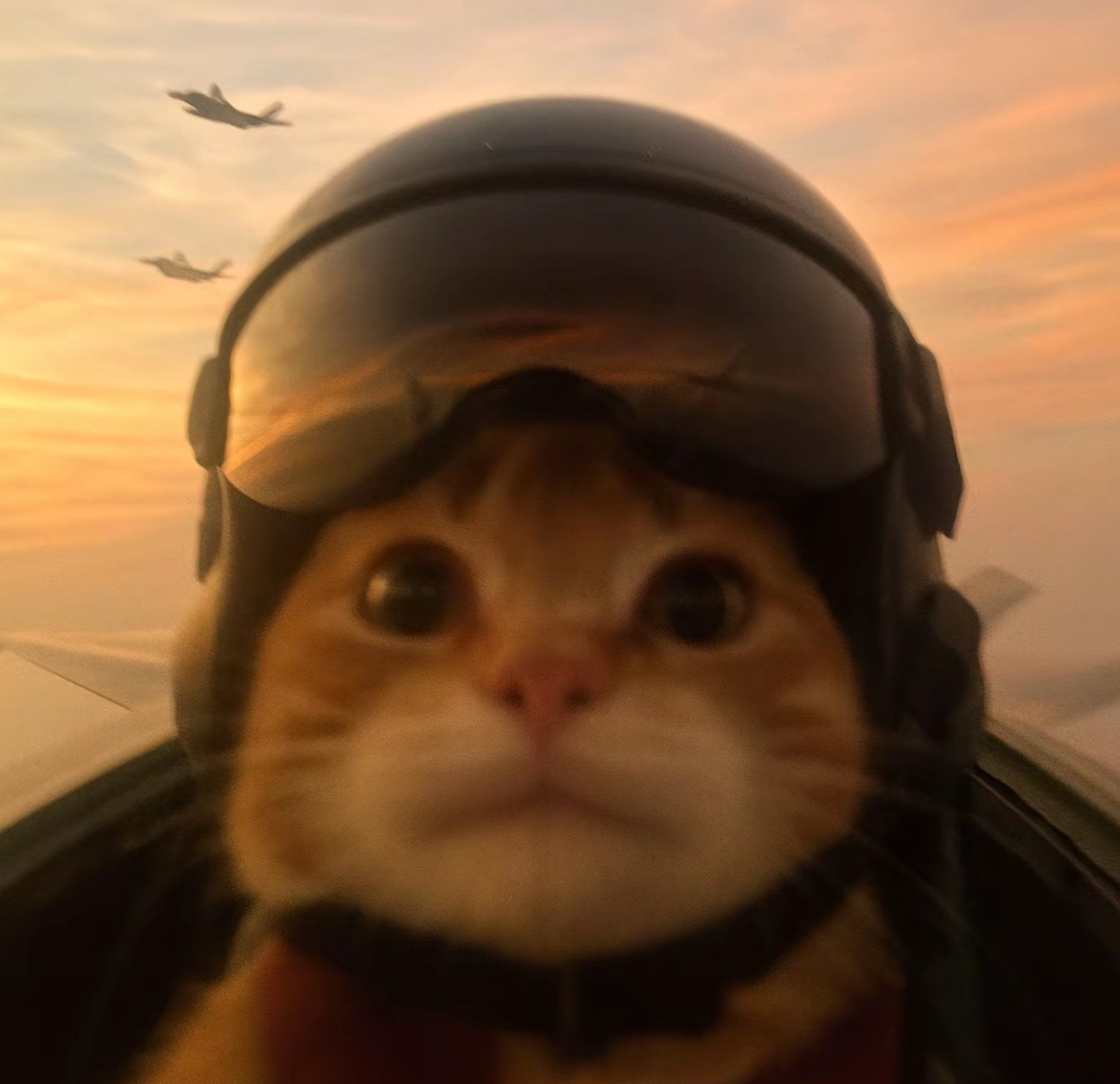 到期白玩谢谢转租