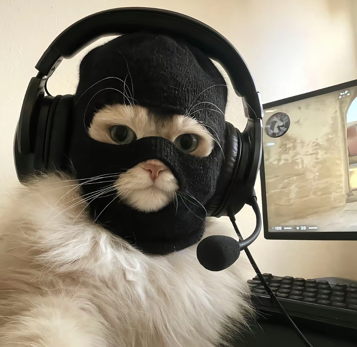 怎么能轻易说要