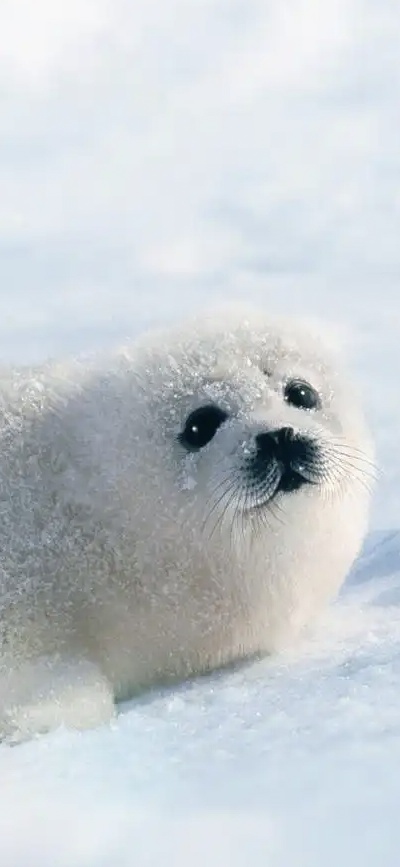 扶贫济困均富共生