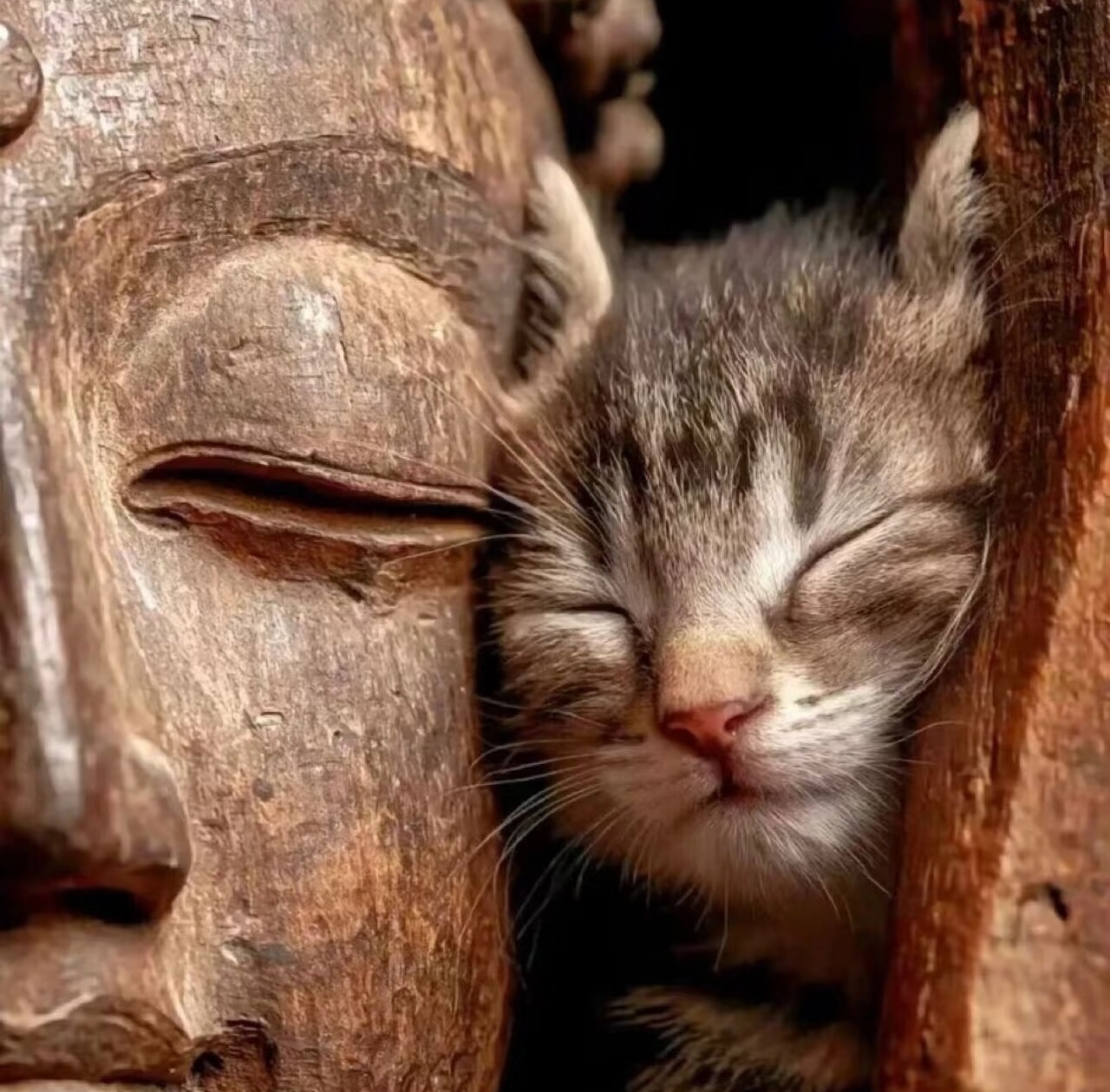 自用号看到就发