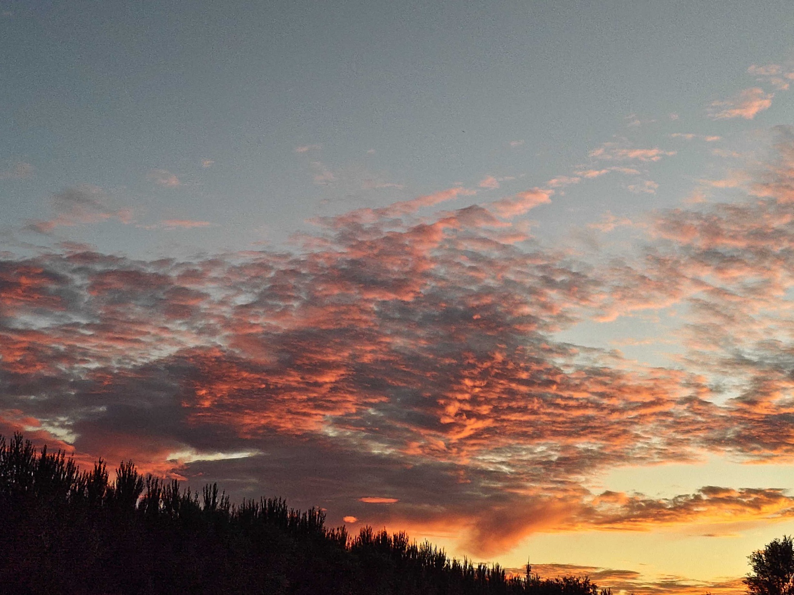 玩家1393697322184540160