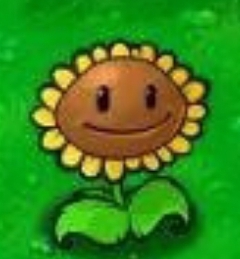 玩家1369655508208566272